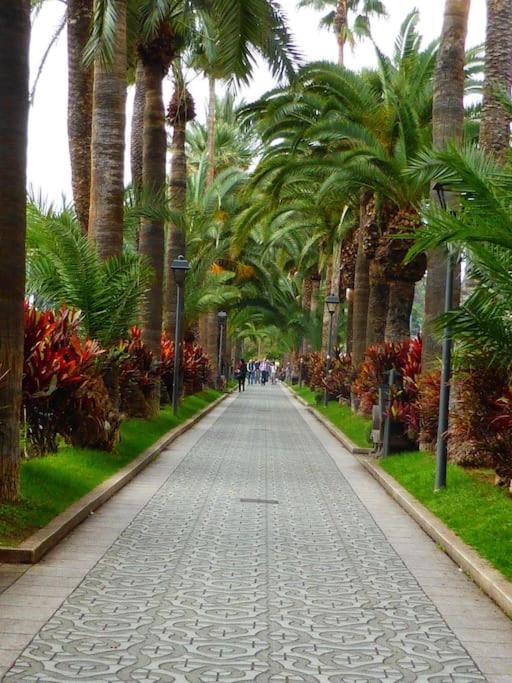 First Line Beach Apartment Puerto de la Cruz (Tenerife) Exterior foto